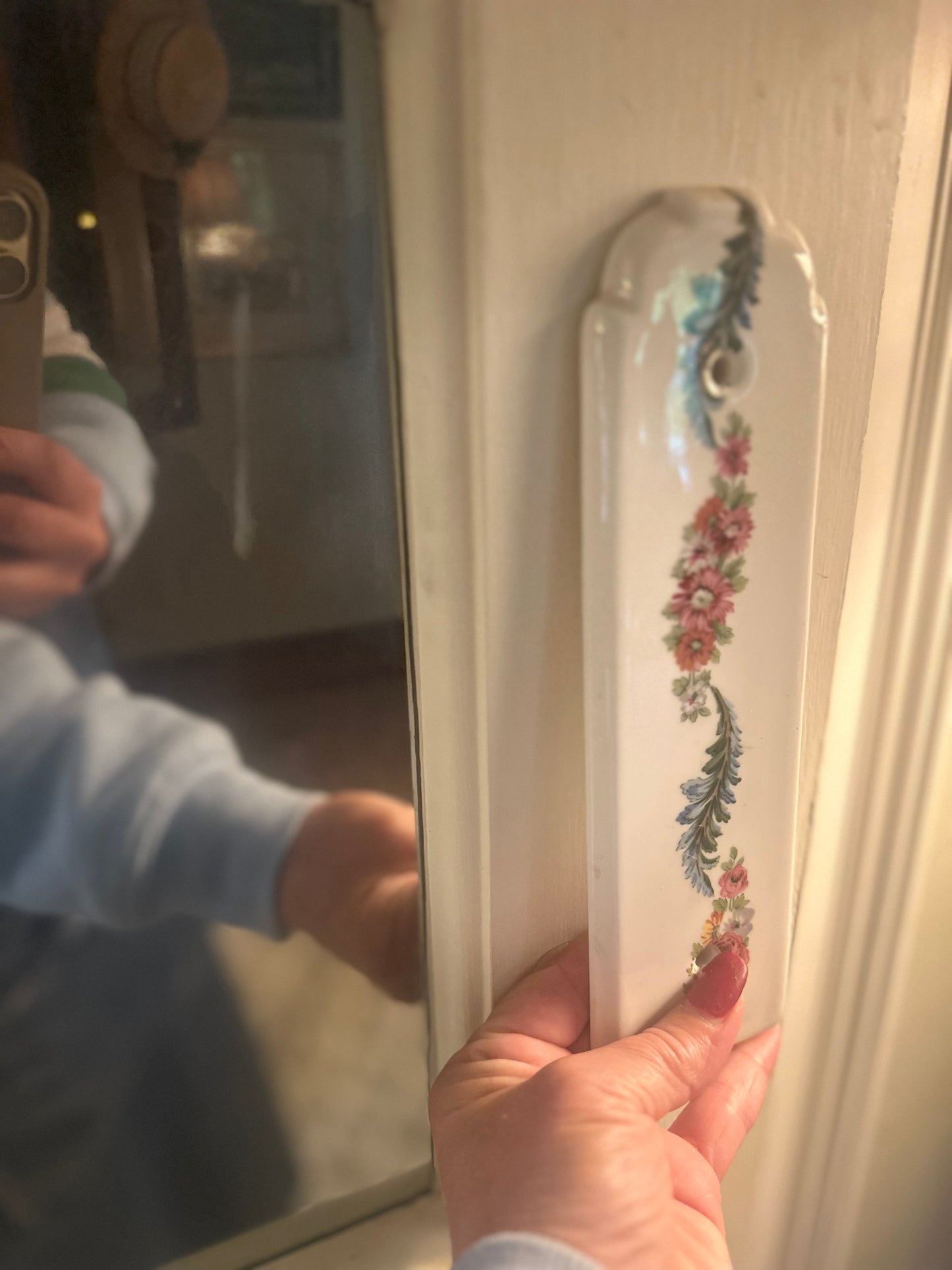 Vintage French Porcelain Push Plate | Finger Plate | 1 of 4
